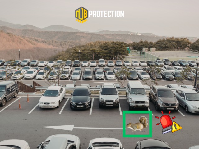 Why False Alarms in Security Are Costing More Than You Think